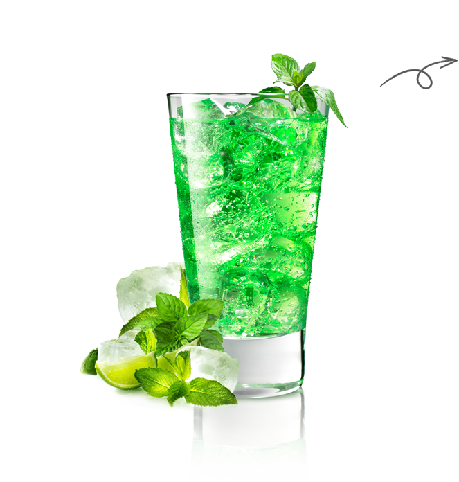 MIDORI MINT